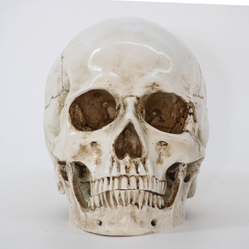 Statues Sculptures Resin Halloween Home Décor Decorative Craft Skull Size 1:1 Model Life Replica High Quality