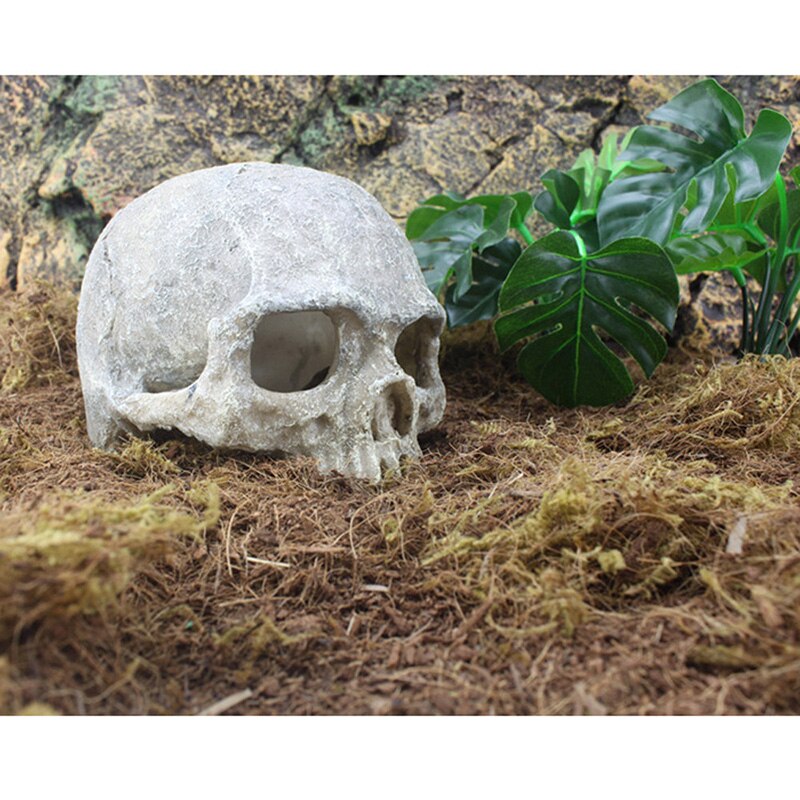Resin Easter Island Head Bone Skull Statue for Lizards Terrarium Reptile Hide Cave Aquarium Fish Landscape Decor Ornament